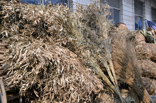 扫帚001 日用品市场中的必备清洁利器